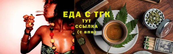 тгк Абаза