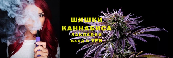 крисы Абдулино