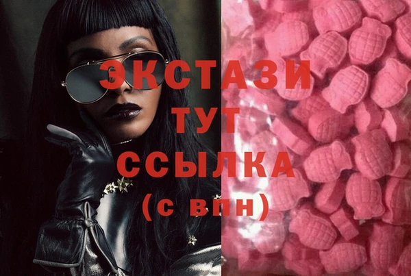 тгк Абаза