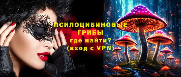 тгк Абаза