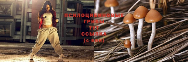 крисы Абдулино