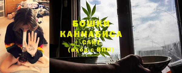 крисы Абдулино