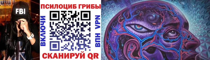 дарнет шоп  Котельнич  Псилоцибиновые грибы мухоморы 